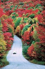 Autumn Wines